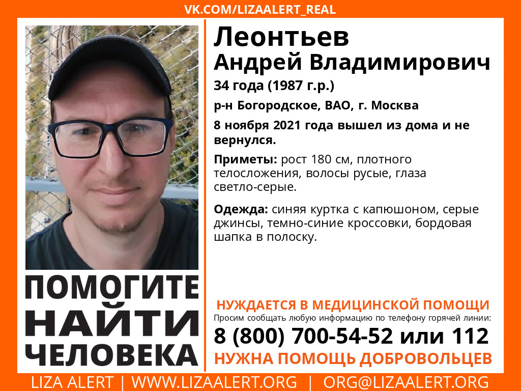 Лиза Алерт приступила к поискам пропавшего жителя Богородского | Богородское